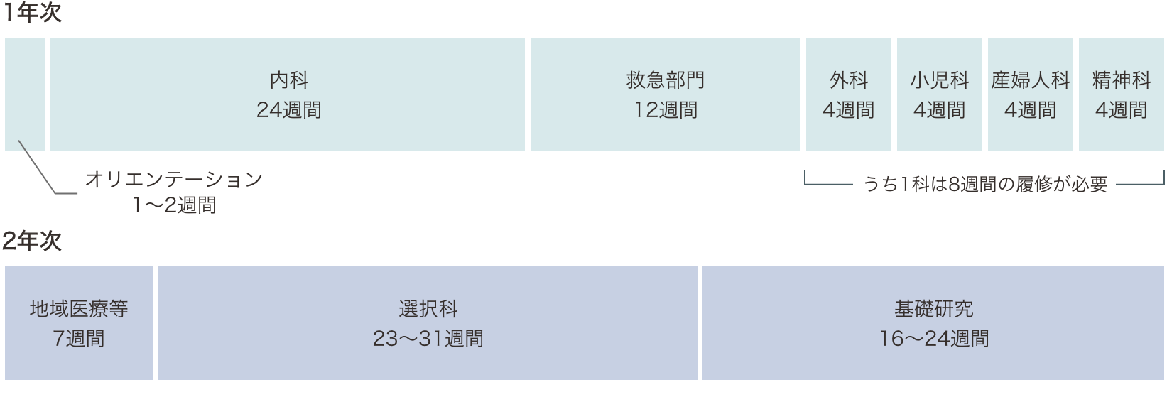 基礎研究医プログラムのスケジュール